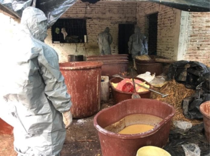 Golpe al narco en Durango y Sinaloa luego de la visita de AMLO