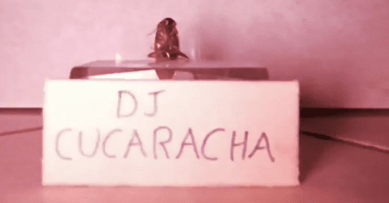“Dj Cucaracha” transmite set en vivo y se vuelve viral