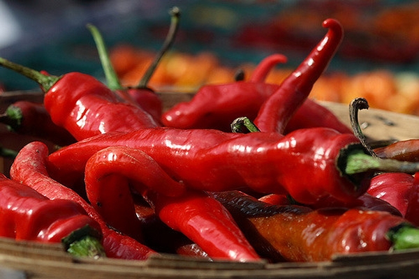 Descubre el festival gastronómico más picante de la Riviera Maya