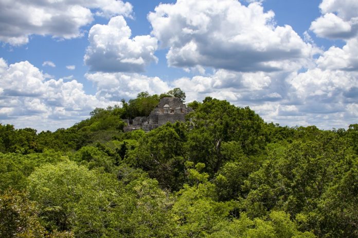 Ruinas de Calakmul, Campeche, ubicadas en la zona maya