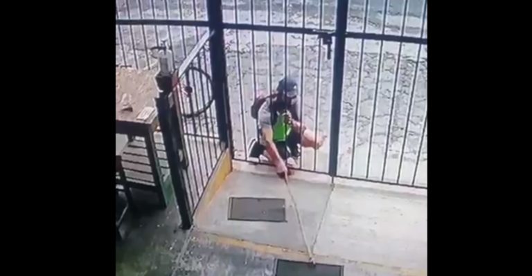 Video: ¡Se roba los tapetes anti Covid-19!