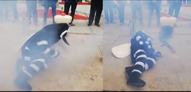 Con todo y botarga, realizan una campaña contra el dengue. Mira el video