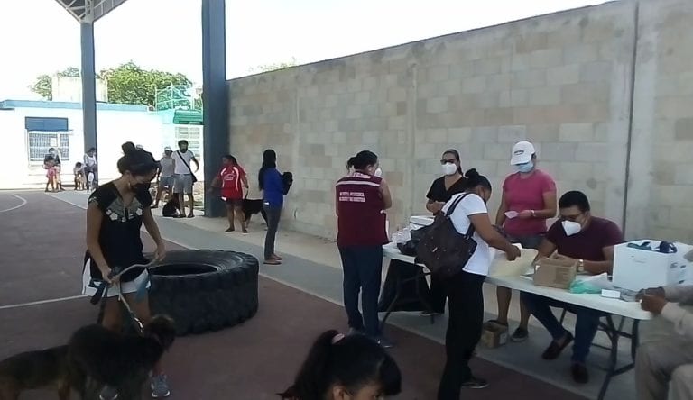 vacunación antirrábica