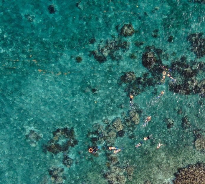 Cada vez arriba más turismo a Puerto Morelos