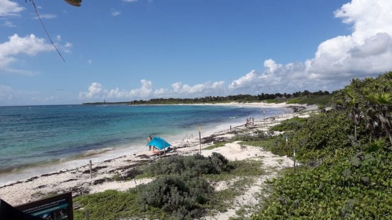 Recolectan 210 kilos de plástico y vidrio en Reserva de la Tortuga Marina en Tulum