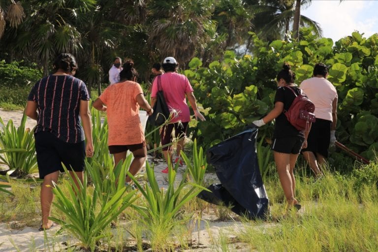 Playenses unen fuerzas para limpiar playas y cenotes en Solidaridad