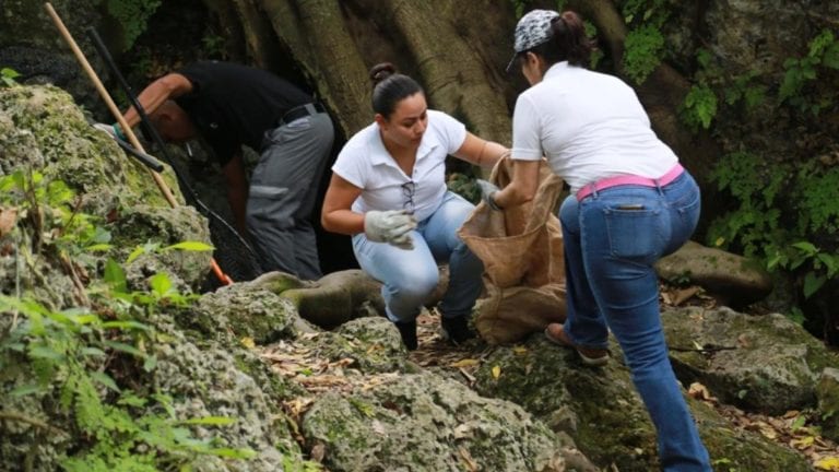 Únete a la limpieza de cenotes, mañana en Playa del Carmen