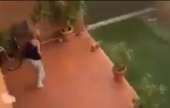 Mujer es captada en video mientras golpea a su perrita