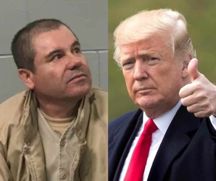 El Chapo / Donald Trump