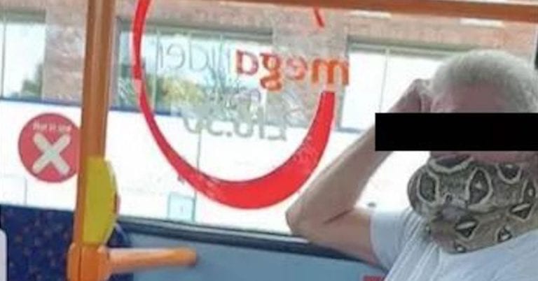 Hombre utiliza serpiente viva como cubrebocas para cuidarse del Covid-19