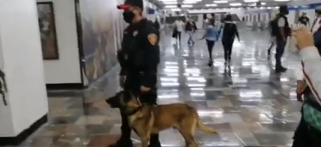 La pandemia ha dejado además de la crisis sanitaria, una emergencia económica reflejada en despidos, recortes salariales y escasez monetaria para las familias mexicanas y ante ello, ha aumentado el comercio por redes sociales para llevar el pan de cada día a la mesa. No obstante, las autoridades han reforzado su presencia en el Metro de la CDMX y combaten, no a delincuentes, sino a gente honrada, con binomios y represión.