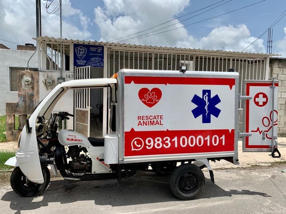 Chetumal tiene la primera Moto Ambulancia de Rescate Animal en México