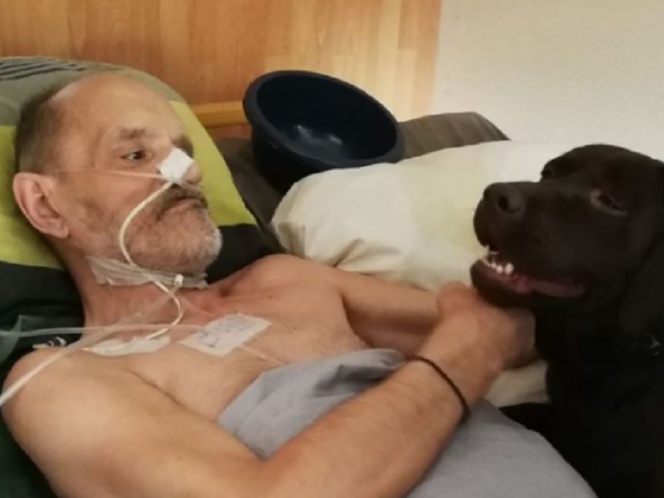 Le niegan la eutanasia y hombre decide transmitir su muerte en Facebook