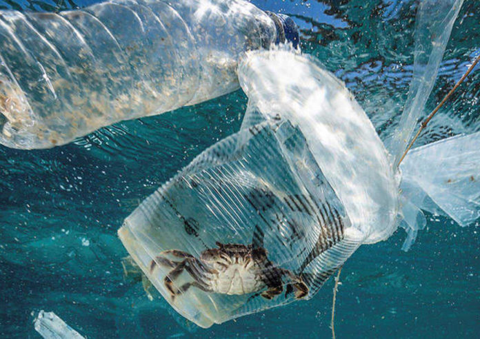 La organización ambientalista Greenpeace, informó que tras estudiar las Áreas Protegidas de México, se percató de que siente de ellas que se ubican en Quintana Roo y una en Veracruz, tienen contaminación plástica en la superficie del mar, en la columna de agua y en el fondo marino.