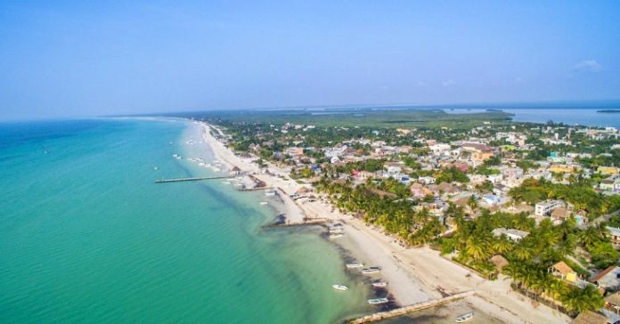 La Comisión Nacional de Áreas Naturales Protegidas tuvo que ceder cerca de 53 hectáreas de terrenos protegidos, en la isla de Holbox, a una empresa inmobiliaria; acción en la que resulta se benefició al propietario de la empresa en la que trabaja Carolyn Adams, la nuera del presidente Andrés Manuel López Obrador.