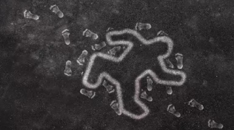 Diputado de Morena pide que ley contemple la figura de “hombricidio” en Yucatán