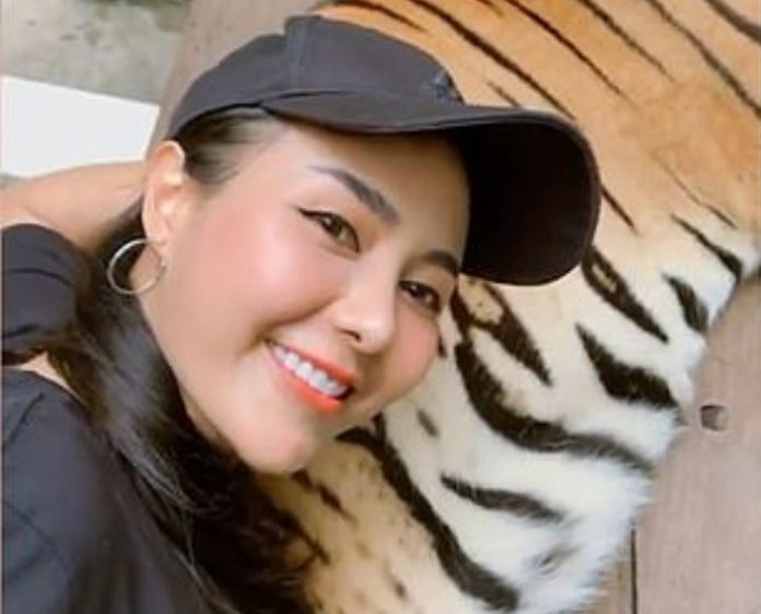 Critican a turista por tocar testículos de tigre