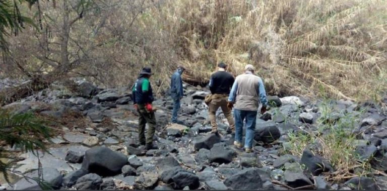 Hallan 59 cuerpos en fosas clandestinas en Guanajuato; podría haber más
