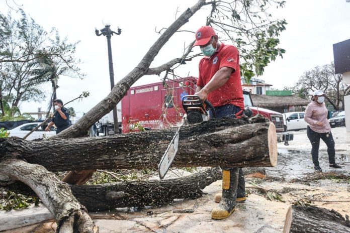 Ciudadanos y brigadistas trabajan en Puerto Morelos tras el paso de 