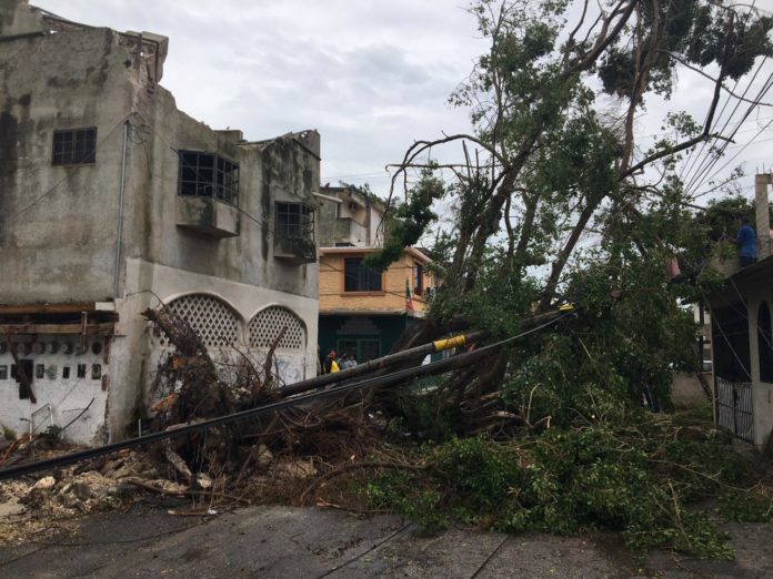 Estas son algunas de las imágenes tras el paso de 