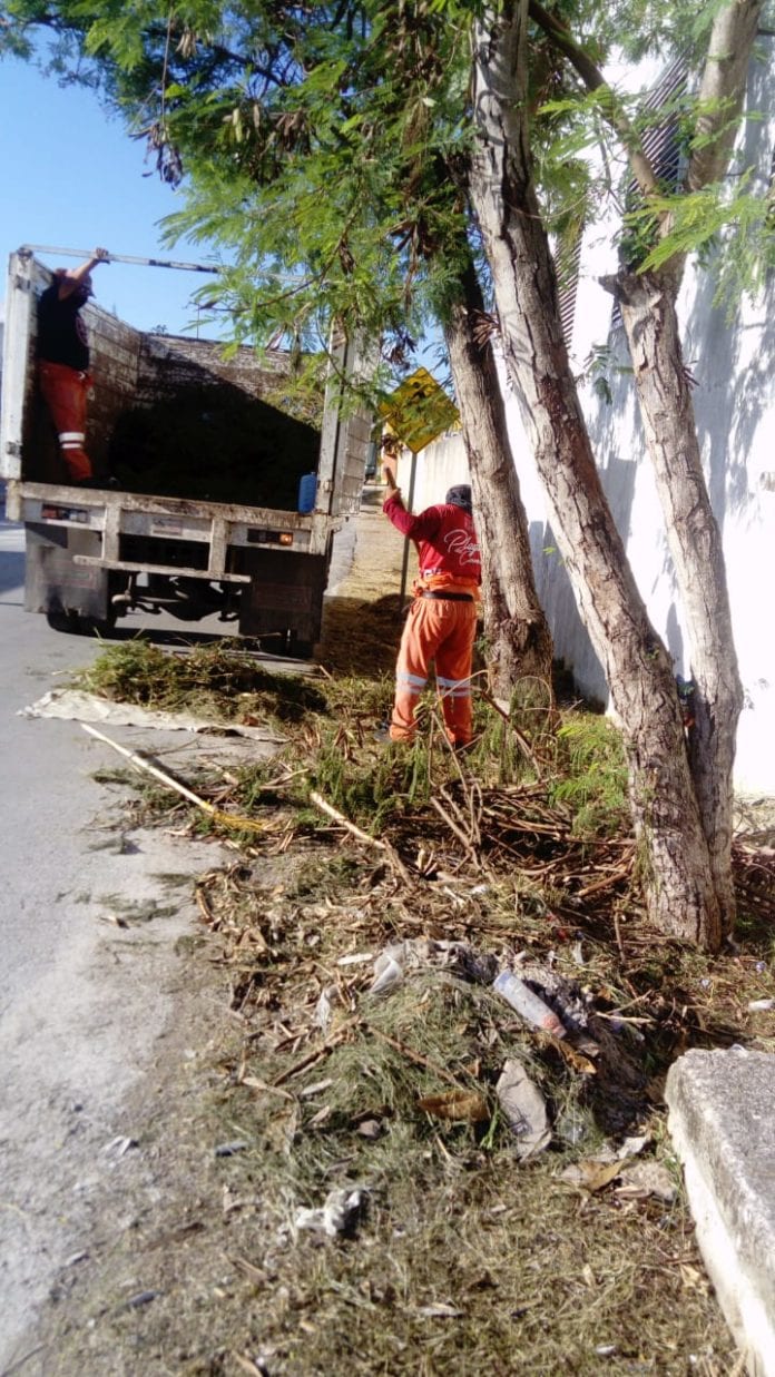 A 15 días del paso del huracán “Delta” sobre la zona norte de Quintana Roo, todavía continúa la limpieza de la basura vegetal en el municipio de Solidaridad.