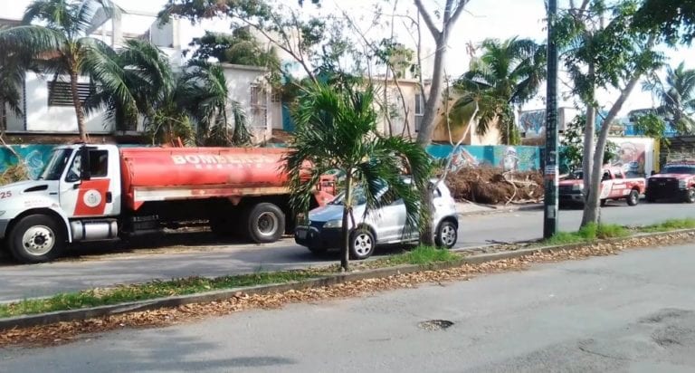 Atienden árbol caído contra cables de energía eléctrica en Playa del Carmen