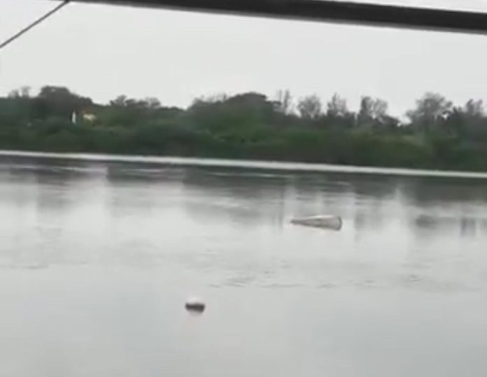 Un hombre perdió la vida tras ser atacado por un cocodrilo