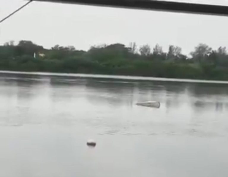 Un hombre perdió la vida tras ser atacado por un cocodrilo