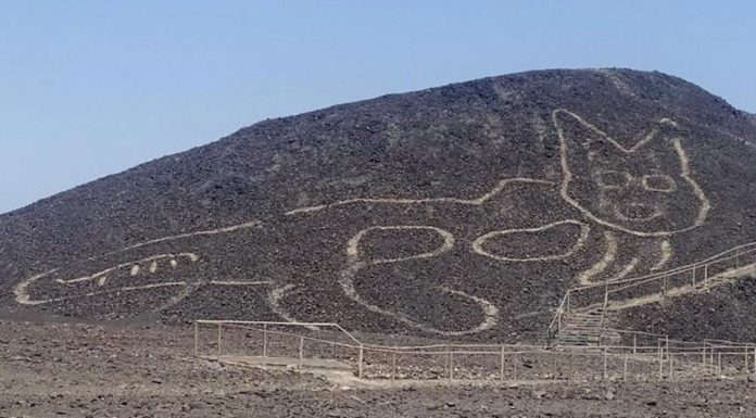 La figura de un enorme gato fue hallada en Nazca, Perú por los arqueólogos que trabajan en la zona