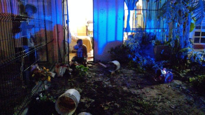 Tres jóvenes fueron auxiliadas por los vecinos de la calle Cecilio Chi con Felipe Carrillo Puerto, de Paseos Kabah en la manzana 5, de la Supermanzana 222, cuando eran atacadas por un sujeto quien pretendía robarle sus pertenencias.