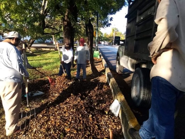 Con la fuerza laboral de más de mil 500  funcionarios públicos, empleados de las diversas dependencias municipales, empresarios y sociedad civil, el Ayuntamiento de Benito Juárez impulsa acciones de limpieza para consolidar la recuperación de Cancún.