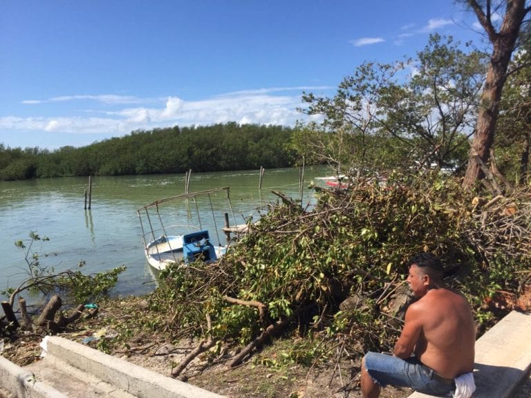 Talan manglar en Zona Hotelera de Cancún; querían aprovechar el paso de “Delta”