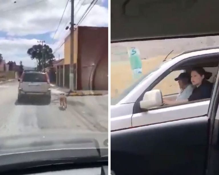 Graban a pareja arrastrando a perrita con una camioneta para “llevarla a vacunar”