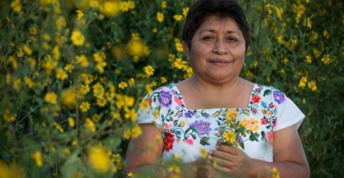 Esta activista maya, Leydy Pech ha sido reconocida con el premio que es considerado el Nobel del medio ambiente