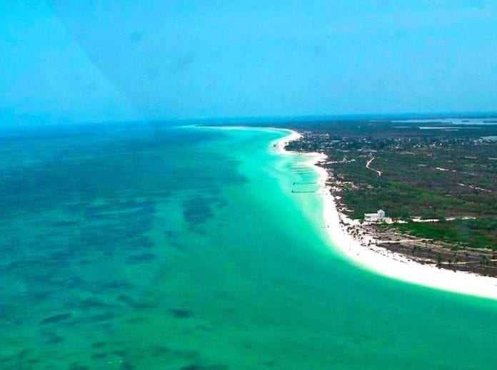 Activistas advierten que aún hay tiempo para detener las obras de turismo masivo que afectarían Yum Balam, por lo que piden a las autoridades que detengan las obras.