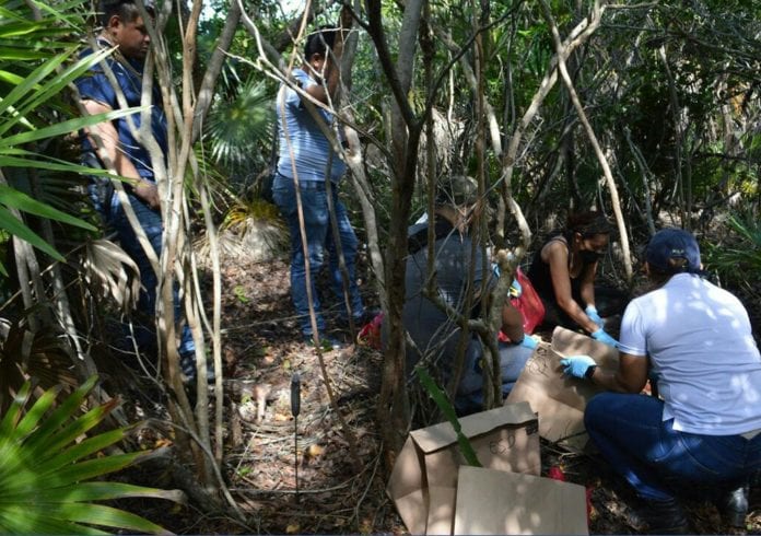 Los restos de tres personas fueron hallados hoy en un predio aledaño a la construcción del hotel Planet Hollywood, en la zona continental de Isla Mujeres, con lo que ya suman cuatro personas que se confirma fueron asesinadas y escondidas en este lugar.