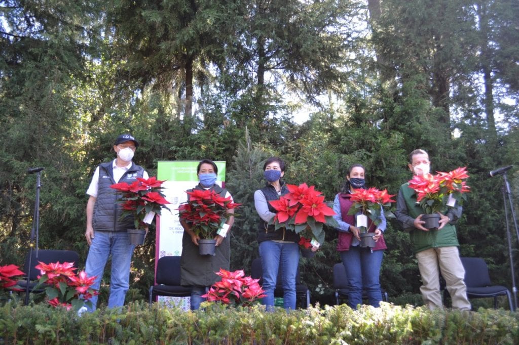 Las plantaciones forestales de árboles de Navidad son certificadas por la Secretaría de Medio Ambiente y Recursos Naturales (SEMARNAT) y que de manera constante son supervisadas por la Conafor, por lo que son una alternativa de suma importancia para los productores de la capital el país ya que incentivan la economía regional y el comercio justo.