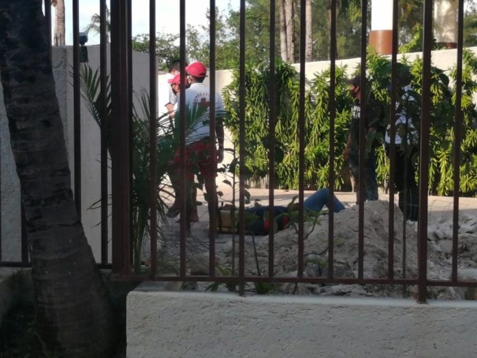 Aunque el hotel intentó ocultar este accidente con total hermetismo e su parte, testigos afirmaron que un sujeto se cayó del un cuarto piso del Reef Coco Beach, ubicado en Playa del Carmen.