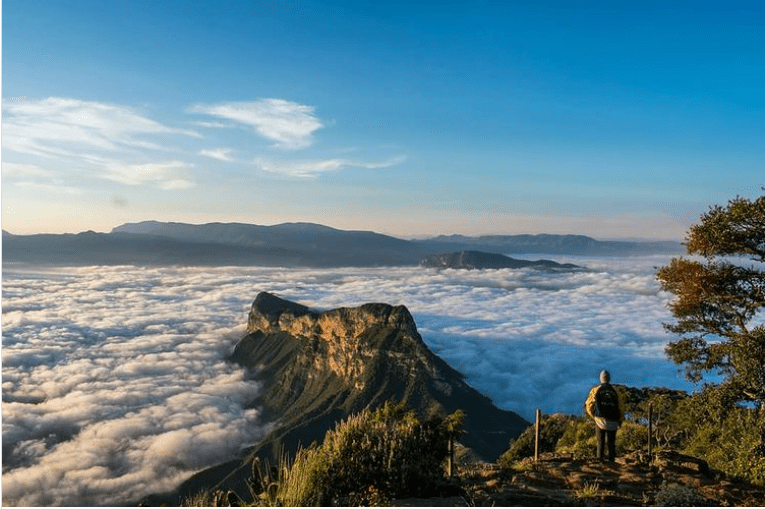 ¡Viaja al ‘corazón verde’ de México!