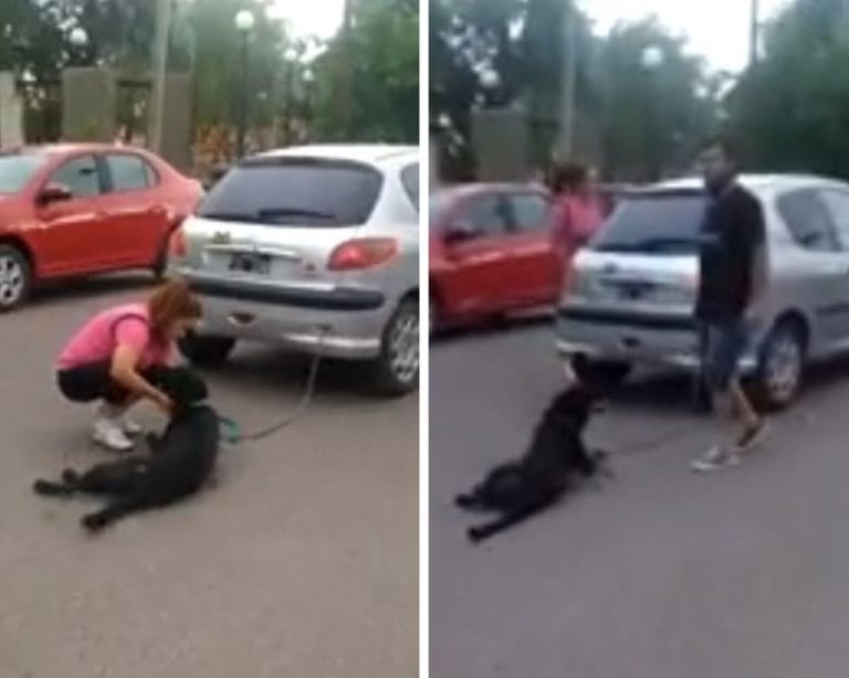 Mujer encadena a su perro al auto y lo arrastra varias cuadras por ‘haberse escapado’