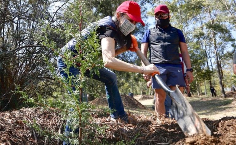 Foto: (capture de pantalla) Aseguró que estas obras no tienen intención alguna de privatizar el bosque.