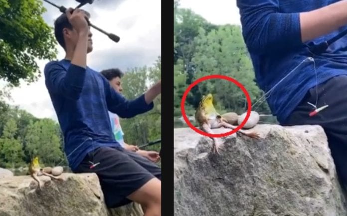 Captan rana pescando con humanos