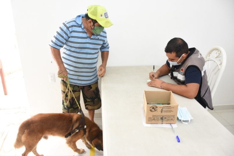 ¡Adopta un perrito! Inicia campaña “Los Amigos no se Compran” en Cancún!