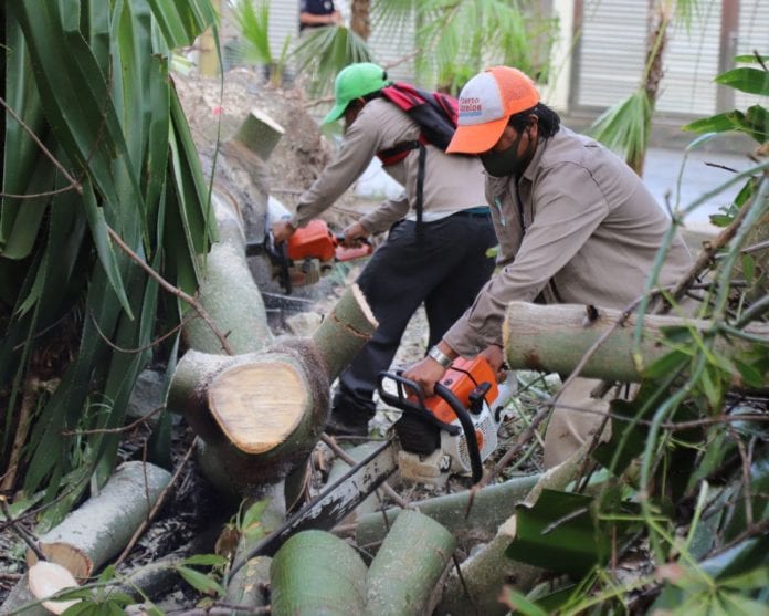 Las brigadas mantienen un trabajo incansable pese a que se enfrentan a un escenario desfavorable debido a las intensas lluvias.