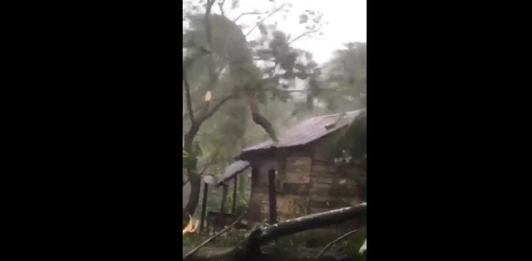 Video: Hombre lucha para que huracán “Eta” no arranque el techo de su vivienda