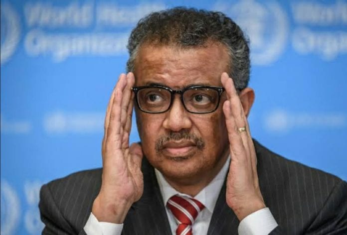 Tedros Adhanom, director de la OMS