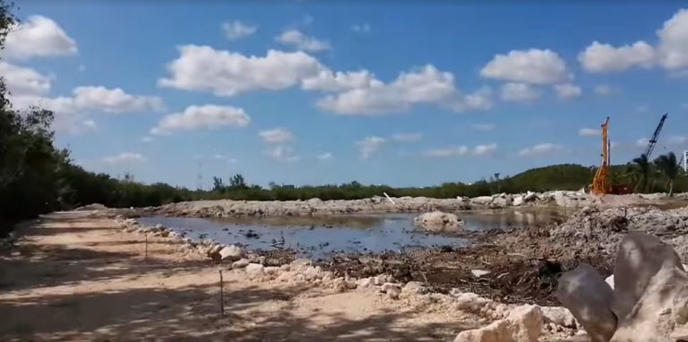 En Puerto Cancún se lleva a cabo un ecocidio en total impunidad; conoce qué empresas son las que están detrás de estos delitos ambientales