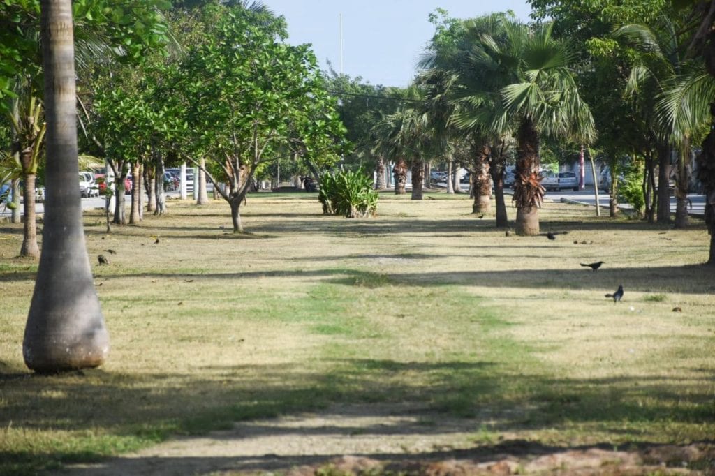 Laura Fernández formuló un reconocimiento a los ciudadanos porque, tal como lo hicieron en las tareas de recuperación días siguientes al paso de los huracanes, todavía hay grupos colaborativos como los vecinos del fraccionamiento de Villas Morelos 2, donde unas 20 personas se unieron a las brigadas para trabajar juntos en la limpieza de su parque.