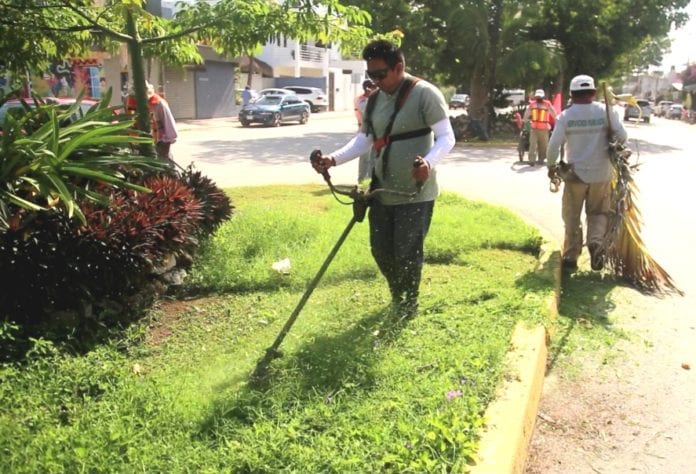 La Dirección de Servicios Públicos municipales reforzó los trabajos para mejorar el aspecto de la ciudad con la poda de árboles y camellones para tener una ciudad limpia y con una mejor apariencia.