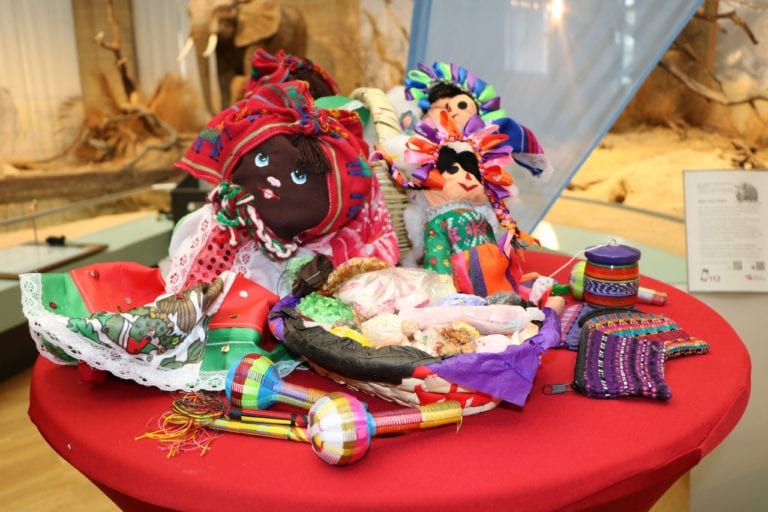 Incautan en Alemania 26 reptiles exóticos; iban desde México en muñecas de tela